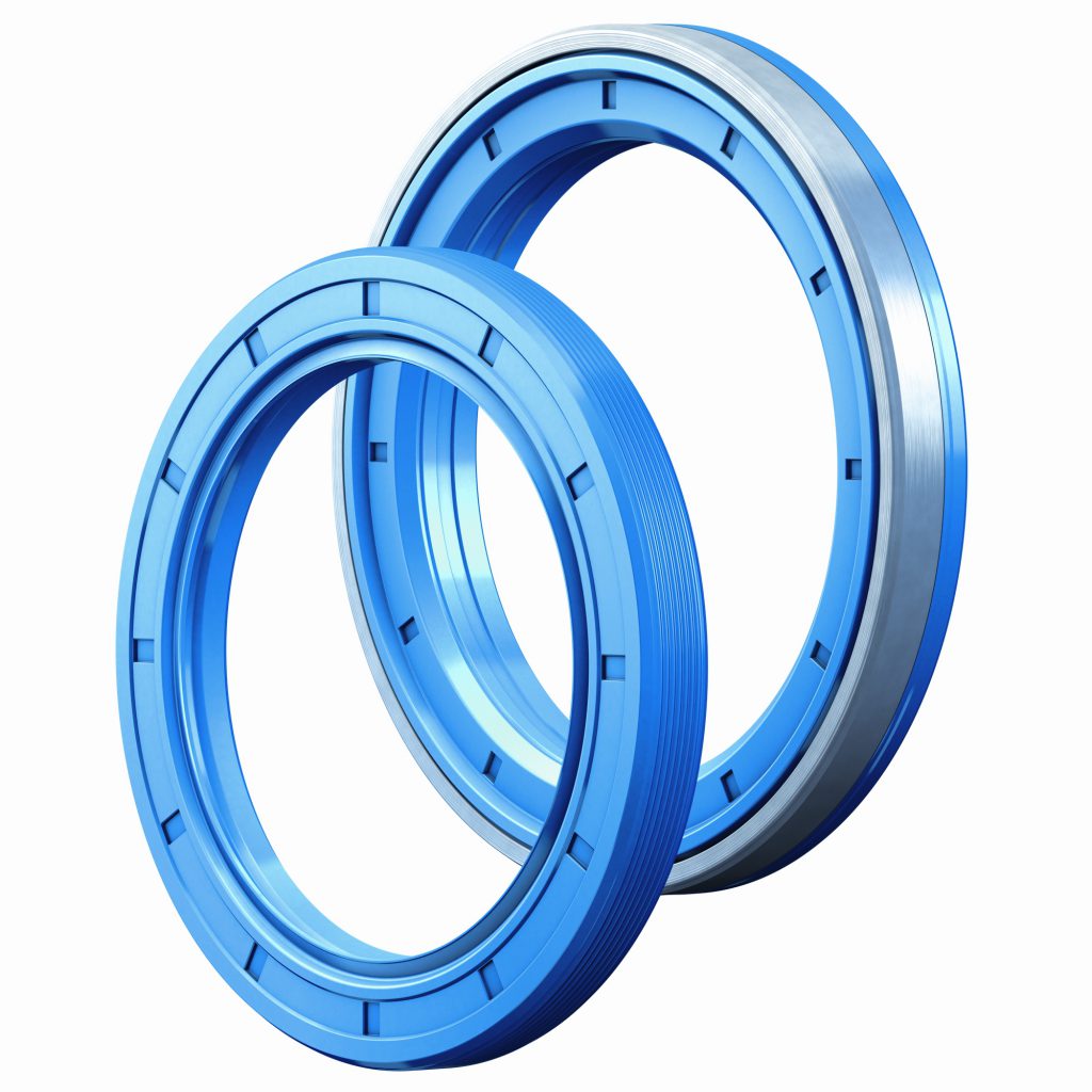 სალნიკები