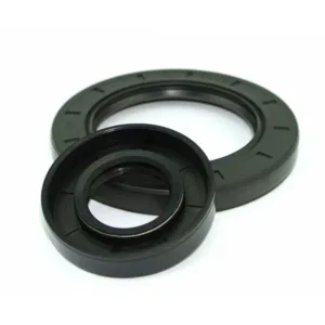 Oil Seal